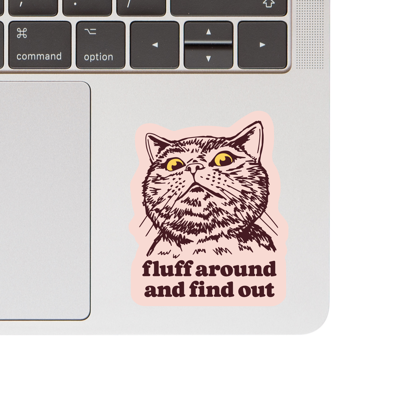 Funny Kitty Cat Swear Humor High Quality Vinyl Sticker