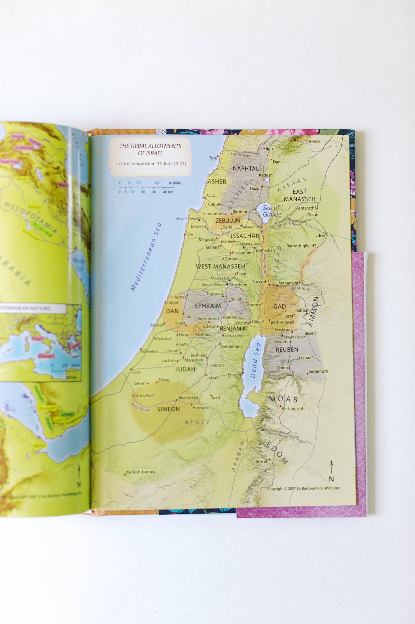 KJV Cross Reference Study Bible (Marmalade Blossoms)