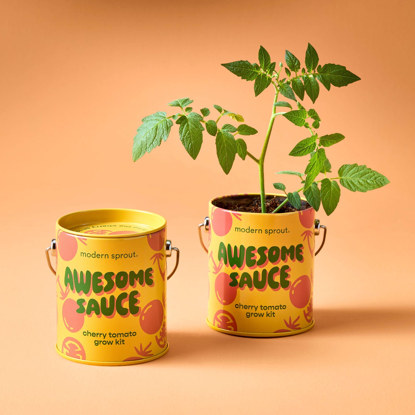 Color Grow Kit