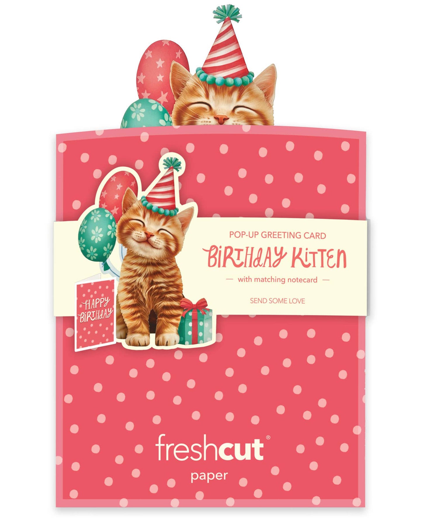 Mini Birthday Kitten Mini Pop-up Greeting Card