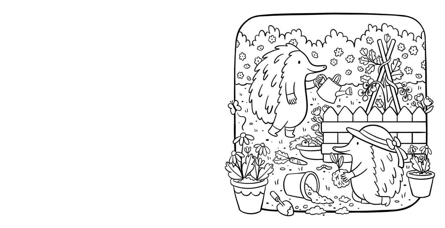 Aussie Cozy Homes