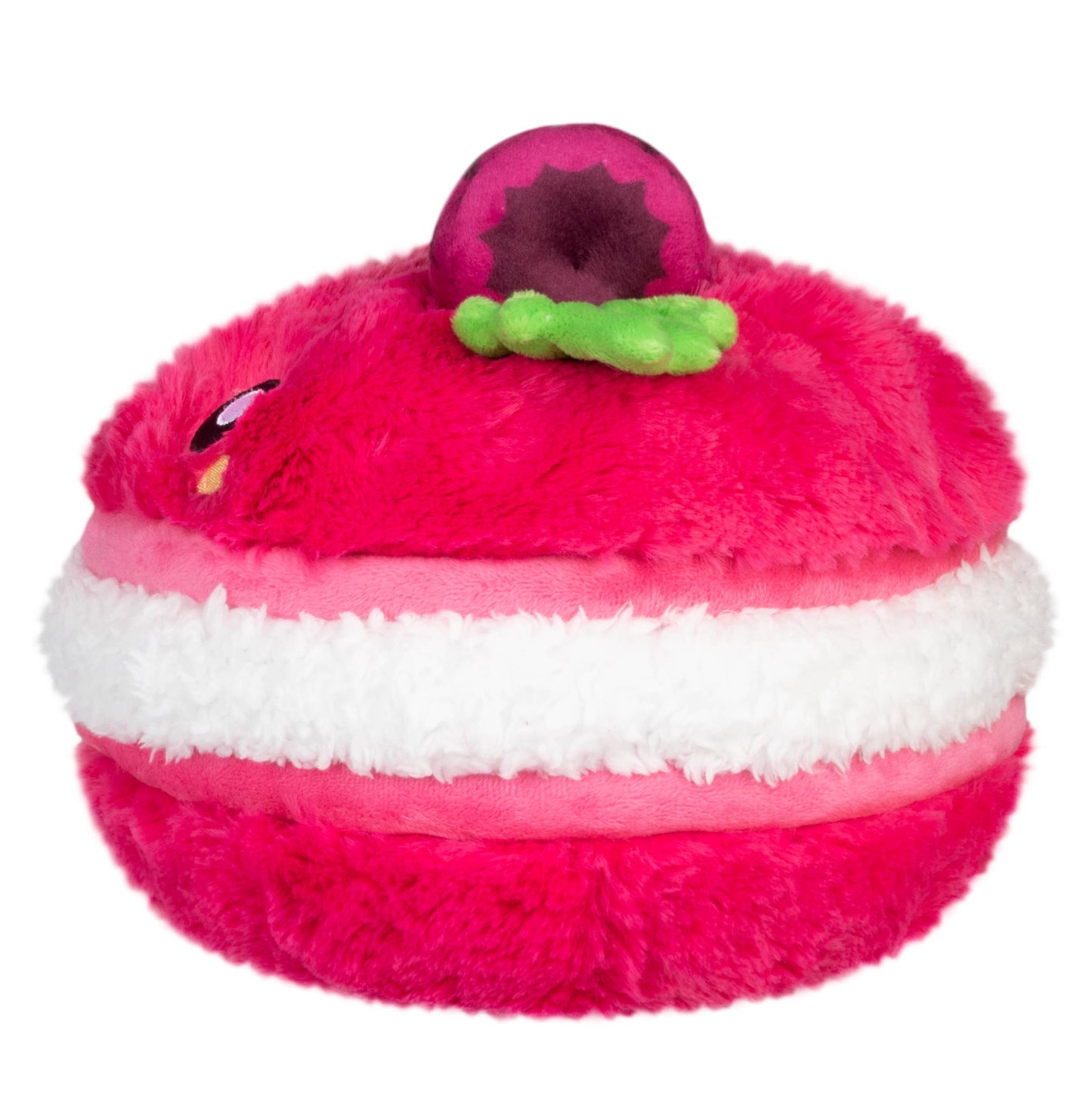 Mini Comfort Food Raspberry Macaron
