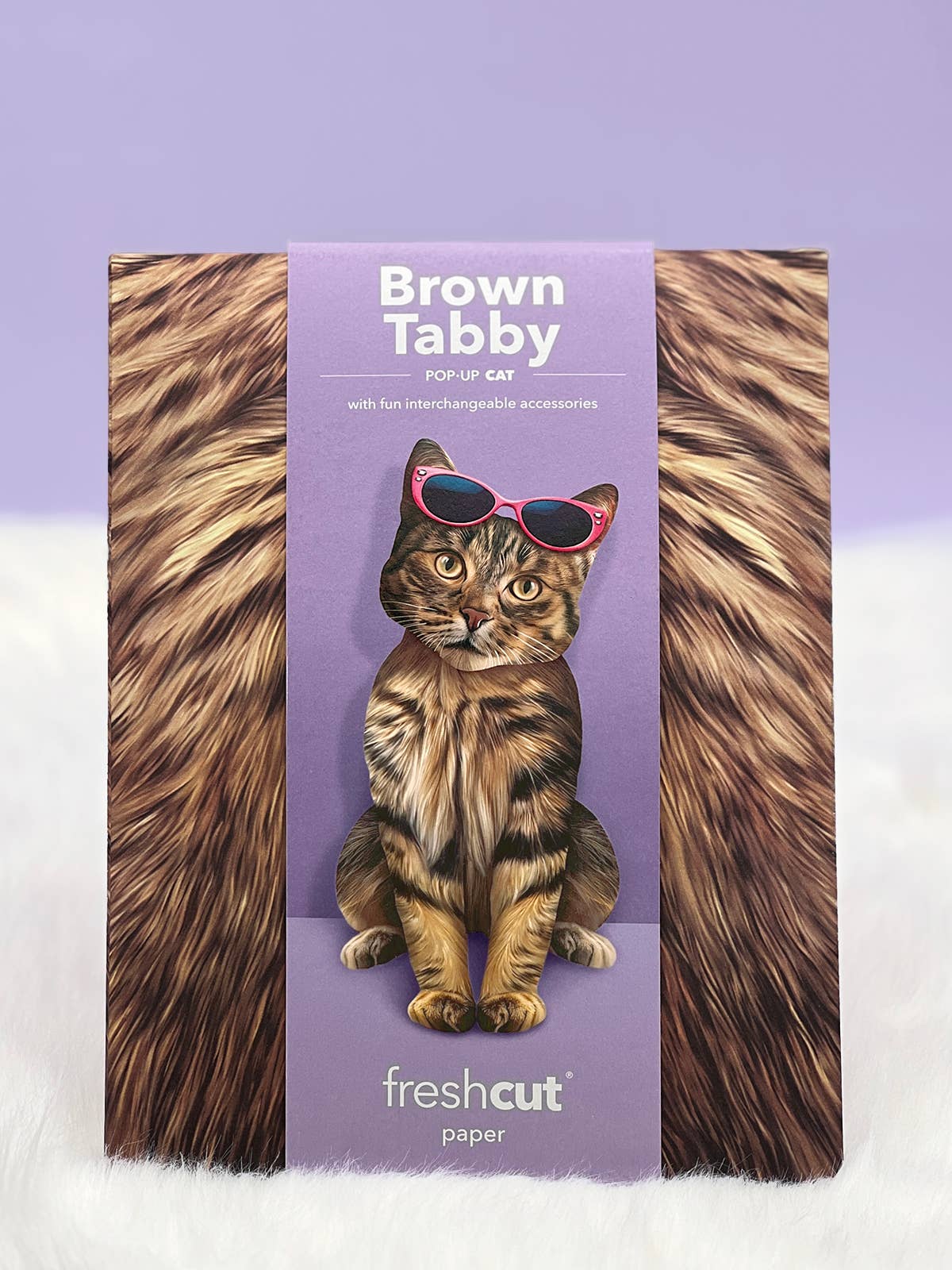 Brown Tabby Pop-up Greeting Card