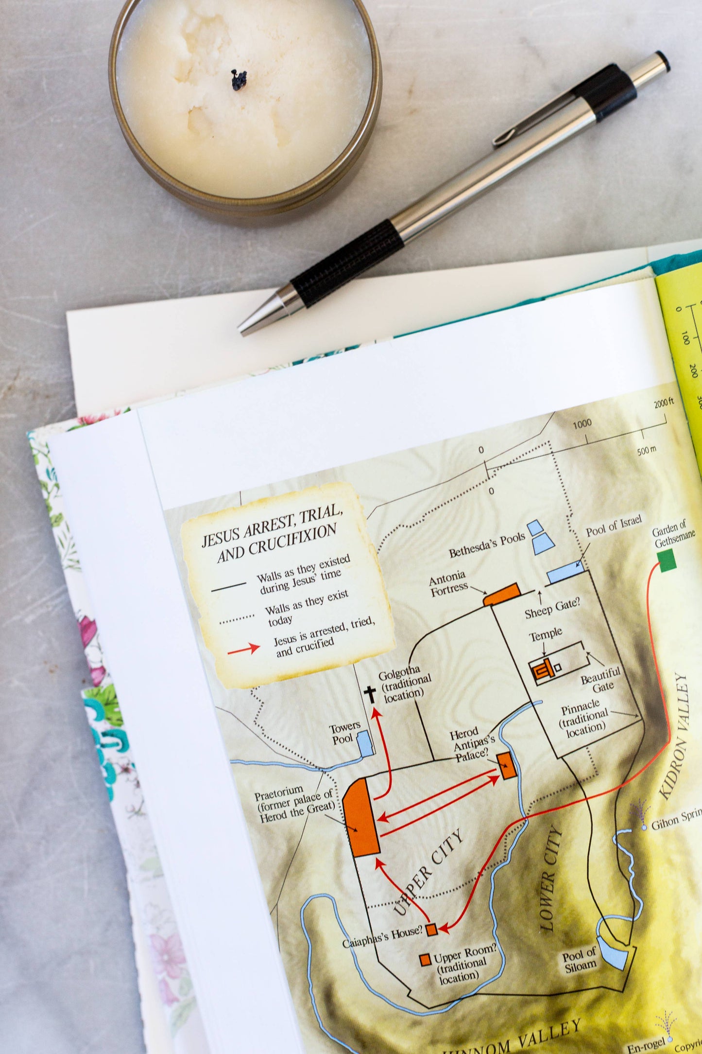 Kjv Study Bible Wildflower Bouquet