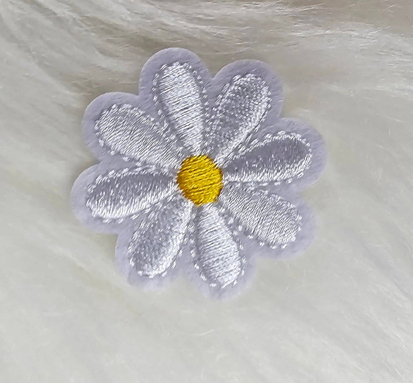 Daisy Flower Patch