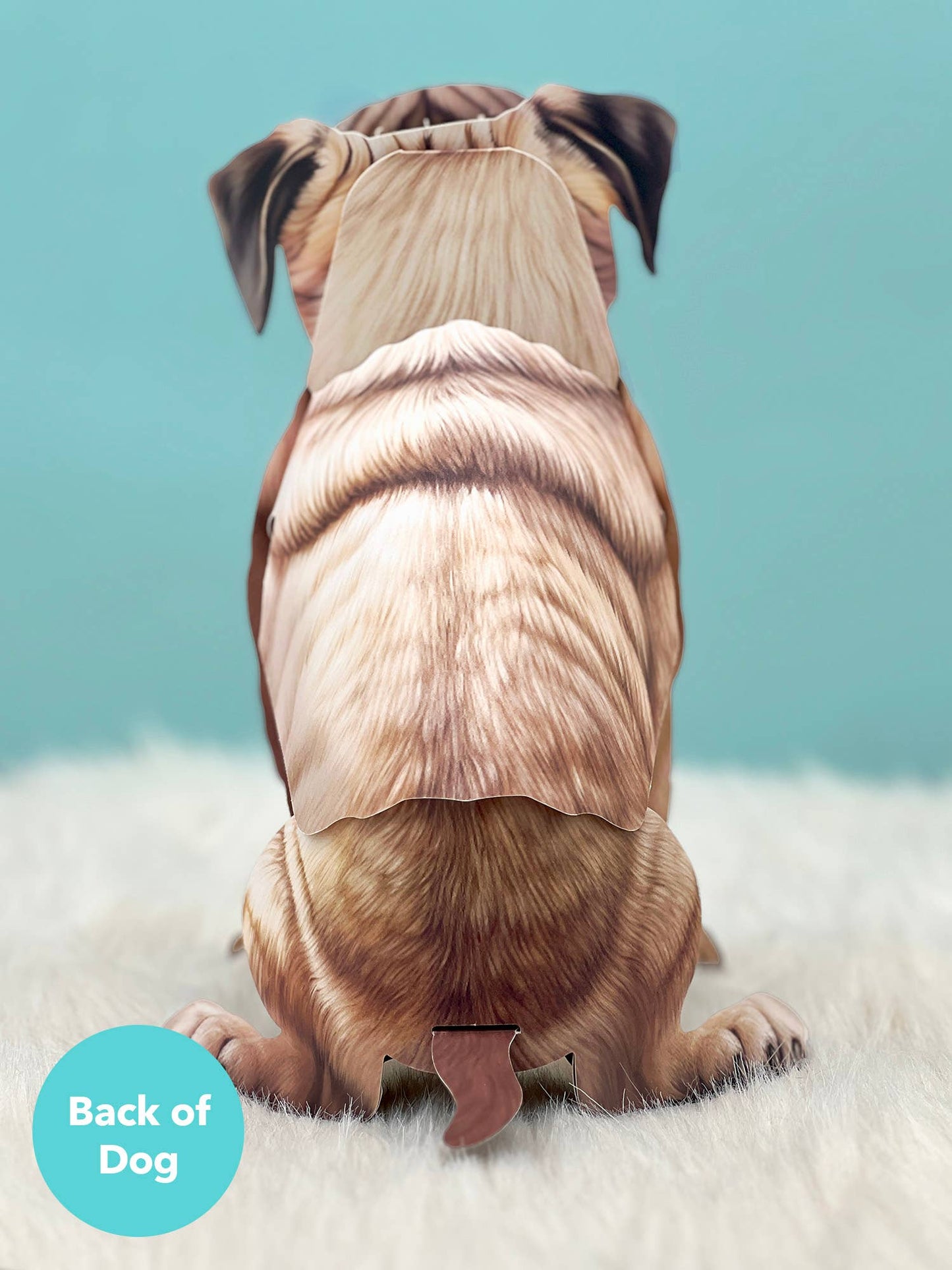 Pug Pop-up Greeting Cards