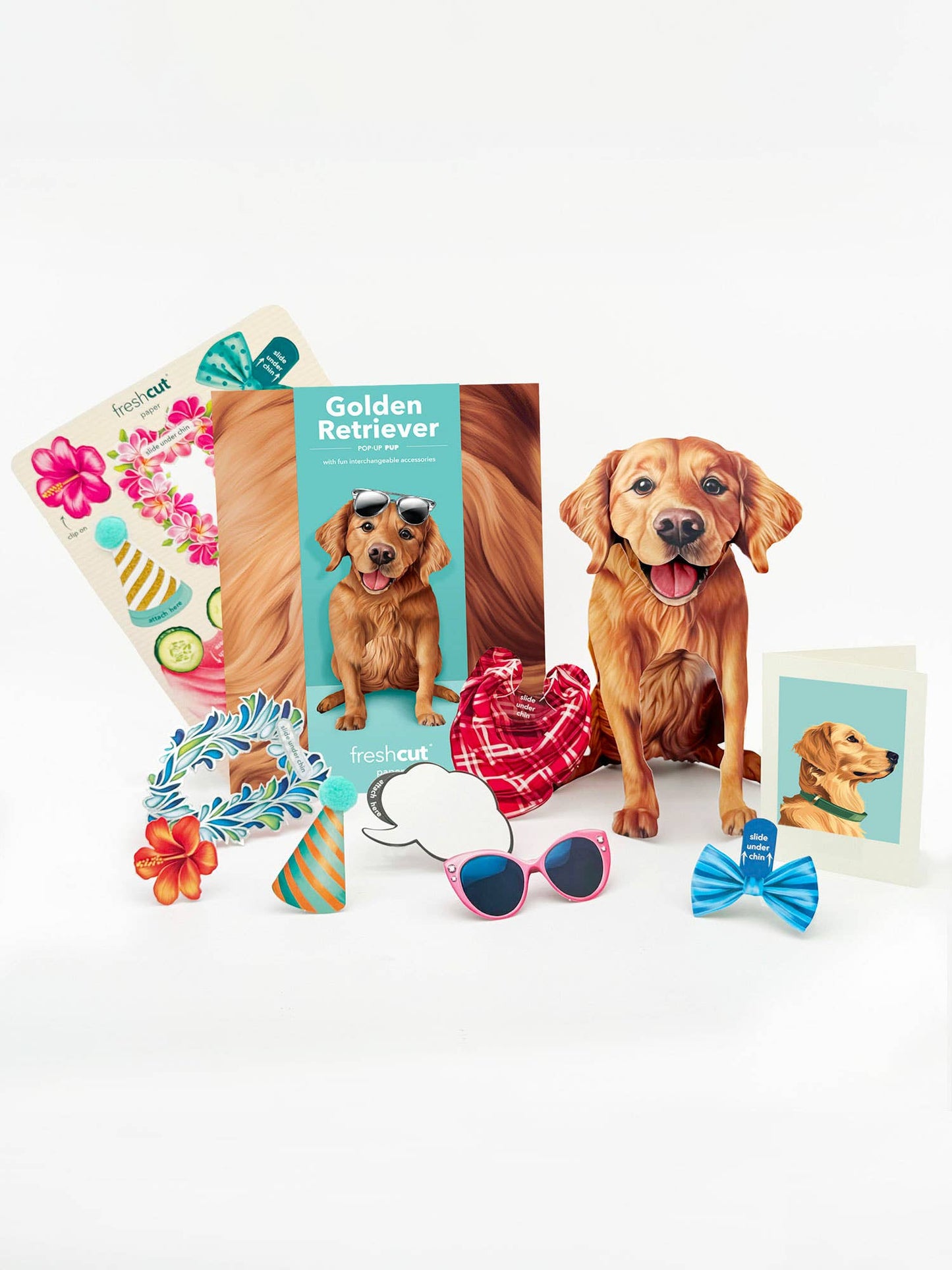 Golden Retriever Pop Up Greeting Card