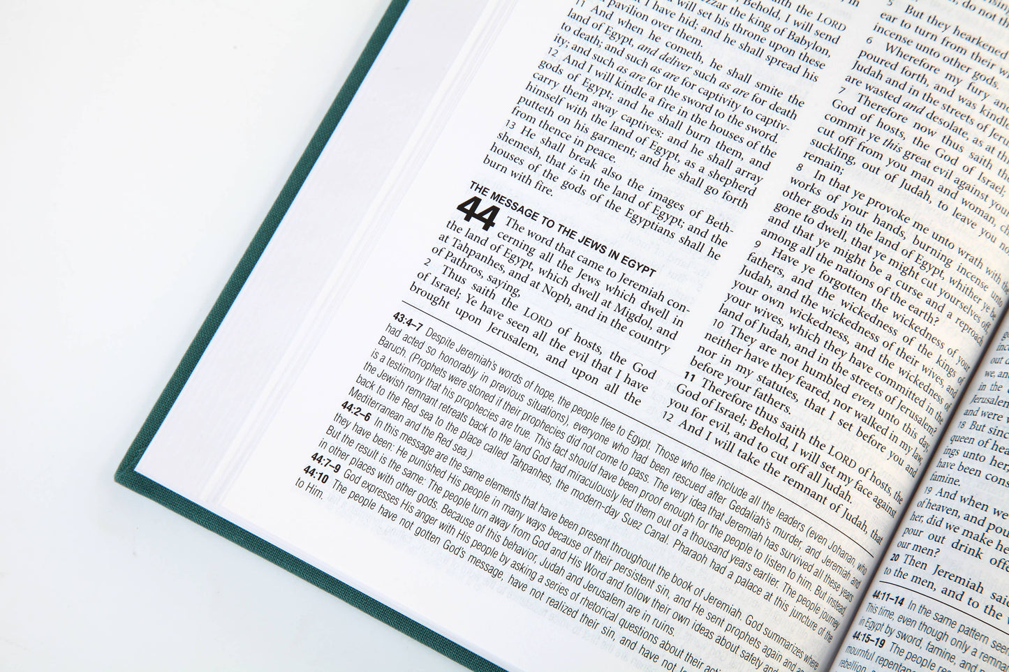 The KJV Study Bible [Sage Bouquet]