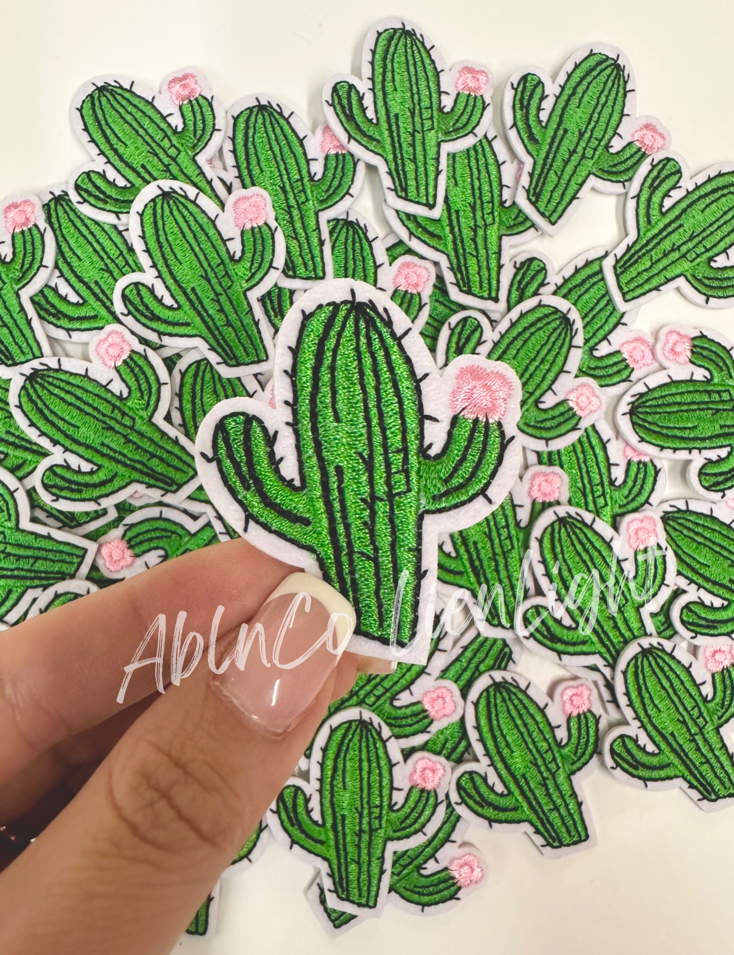 cactus patch