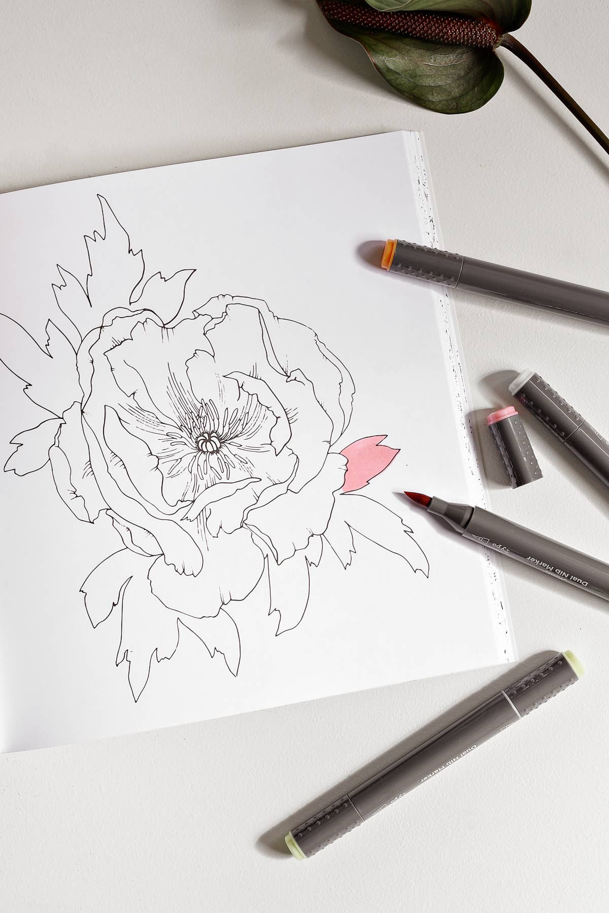 The Plant Lady: A Floral Coloring Book