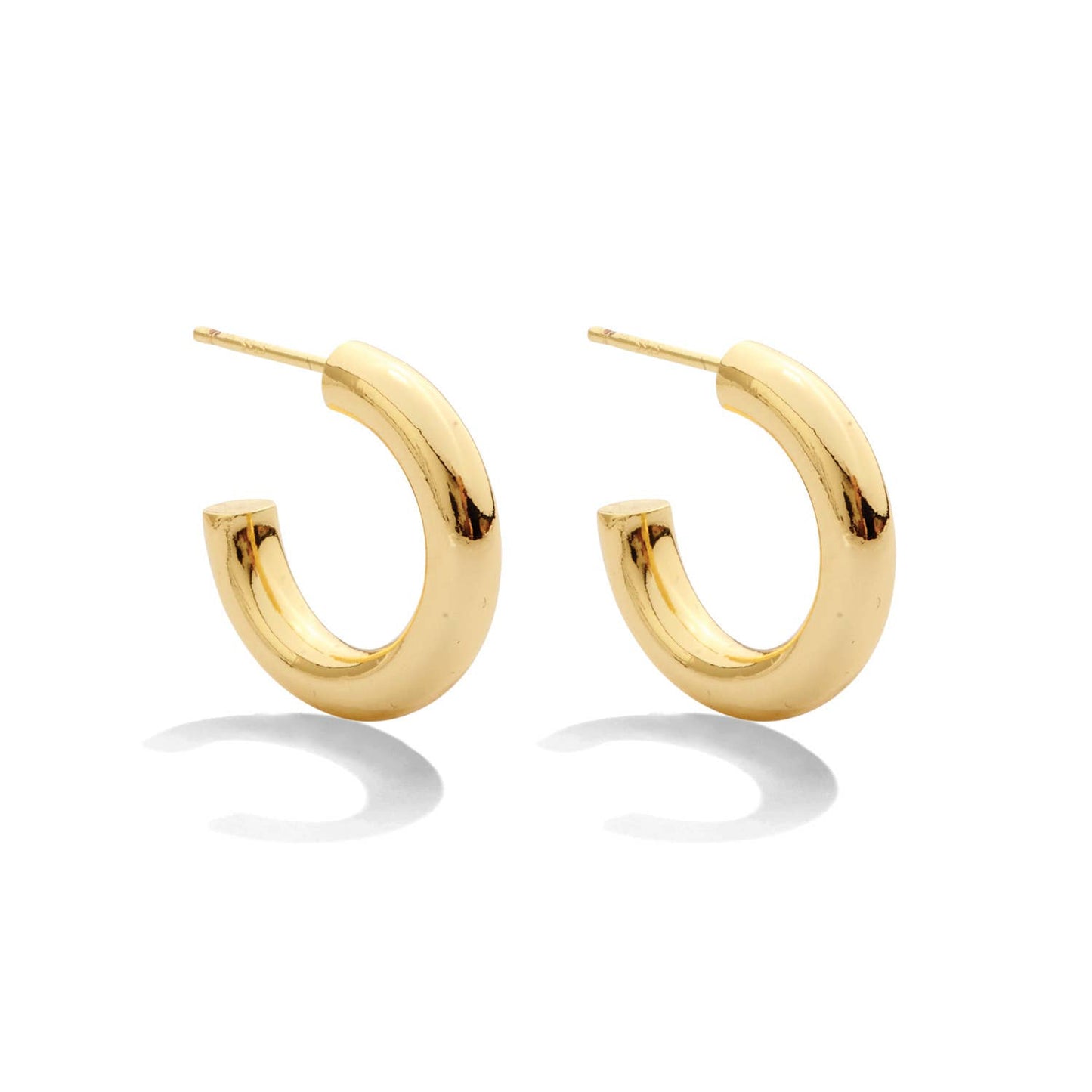 The Perfect Hoop Earrings