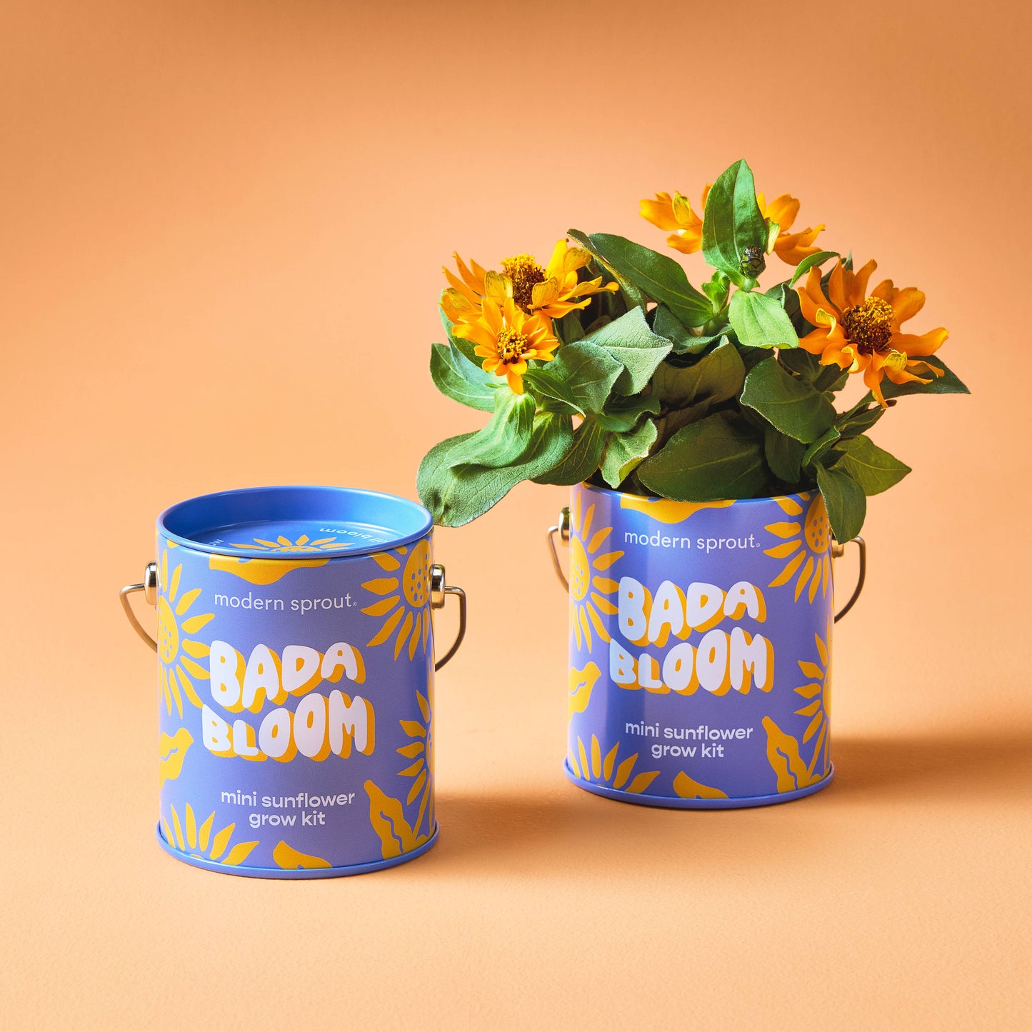 Color Grow Kit