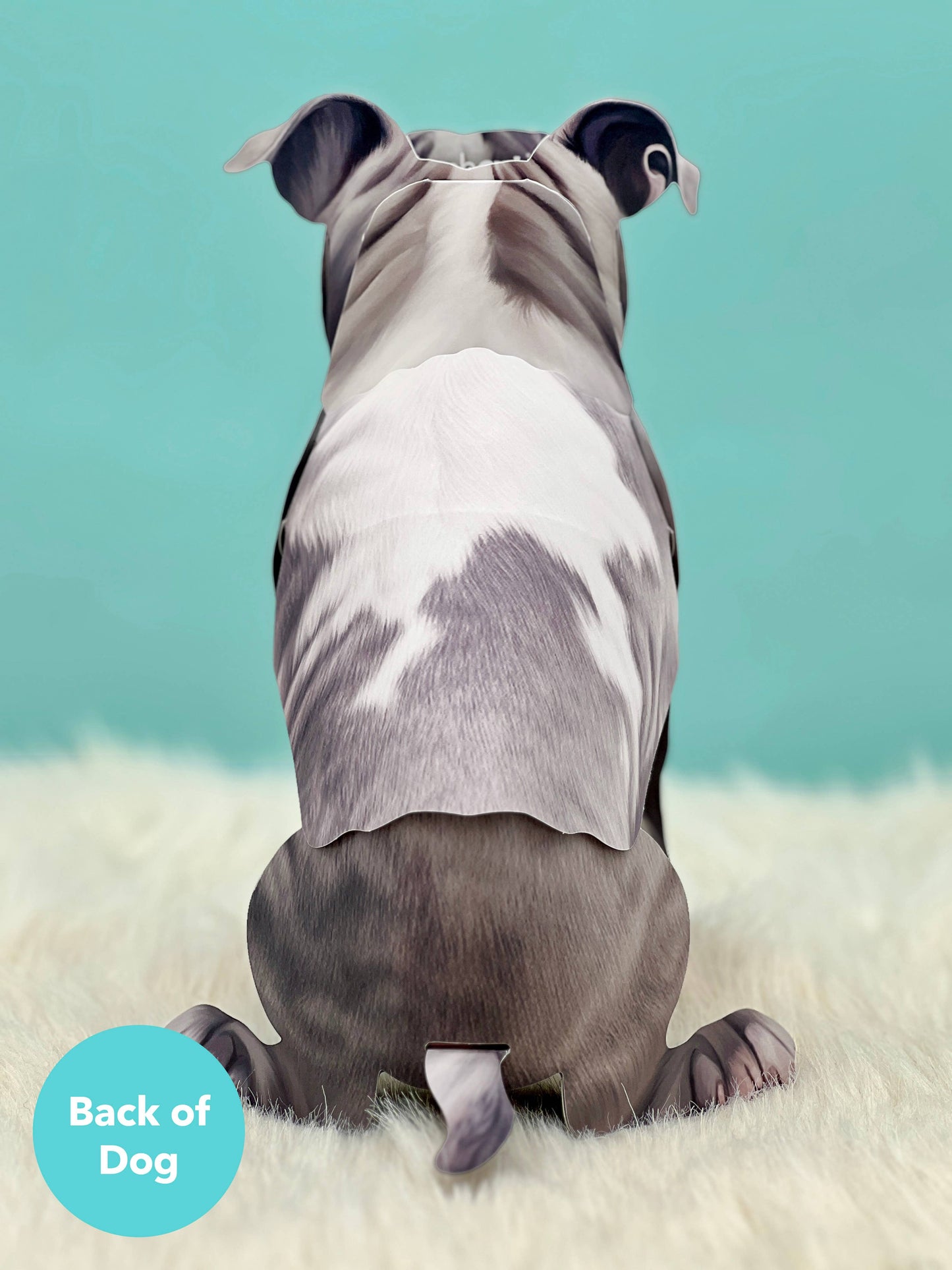 Gray Pitbull Pop-up Greeting Card