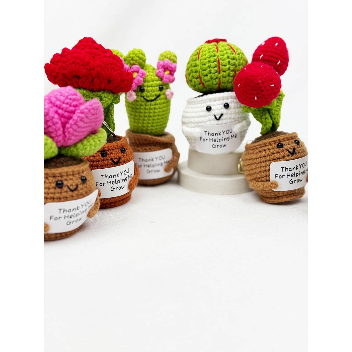 Positive Crochet Potted Succulent KeyChain