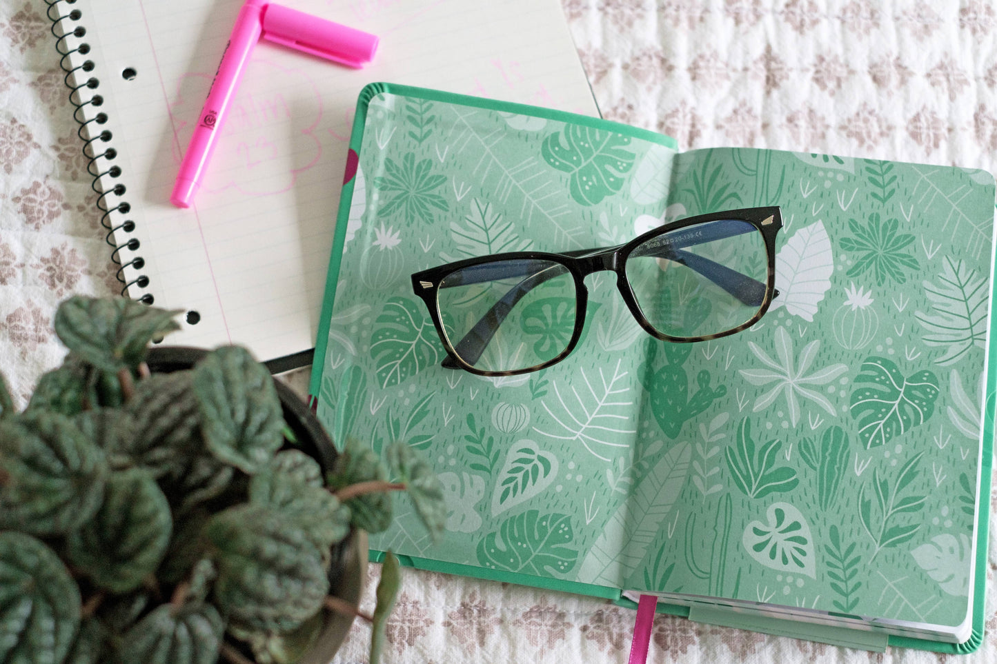 Flourish: Daily Devotions for Teen Girls