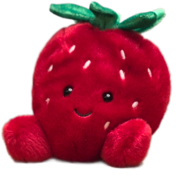 Canned Strawberry