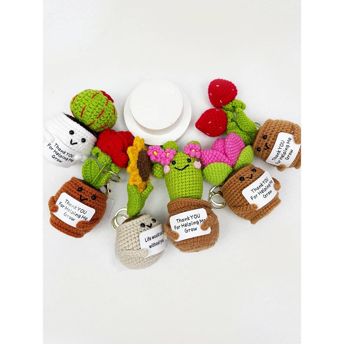 Positive Crochet Potted Succulent KeyChain