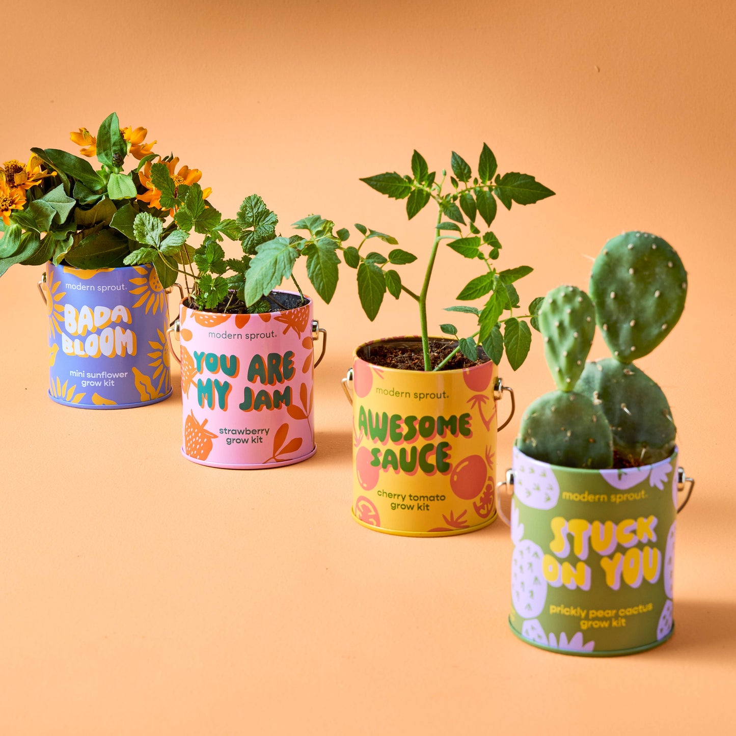 Color Grow Kit