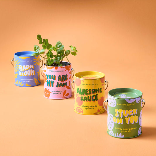 Color Grow Kit