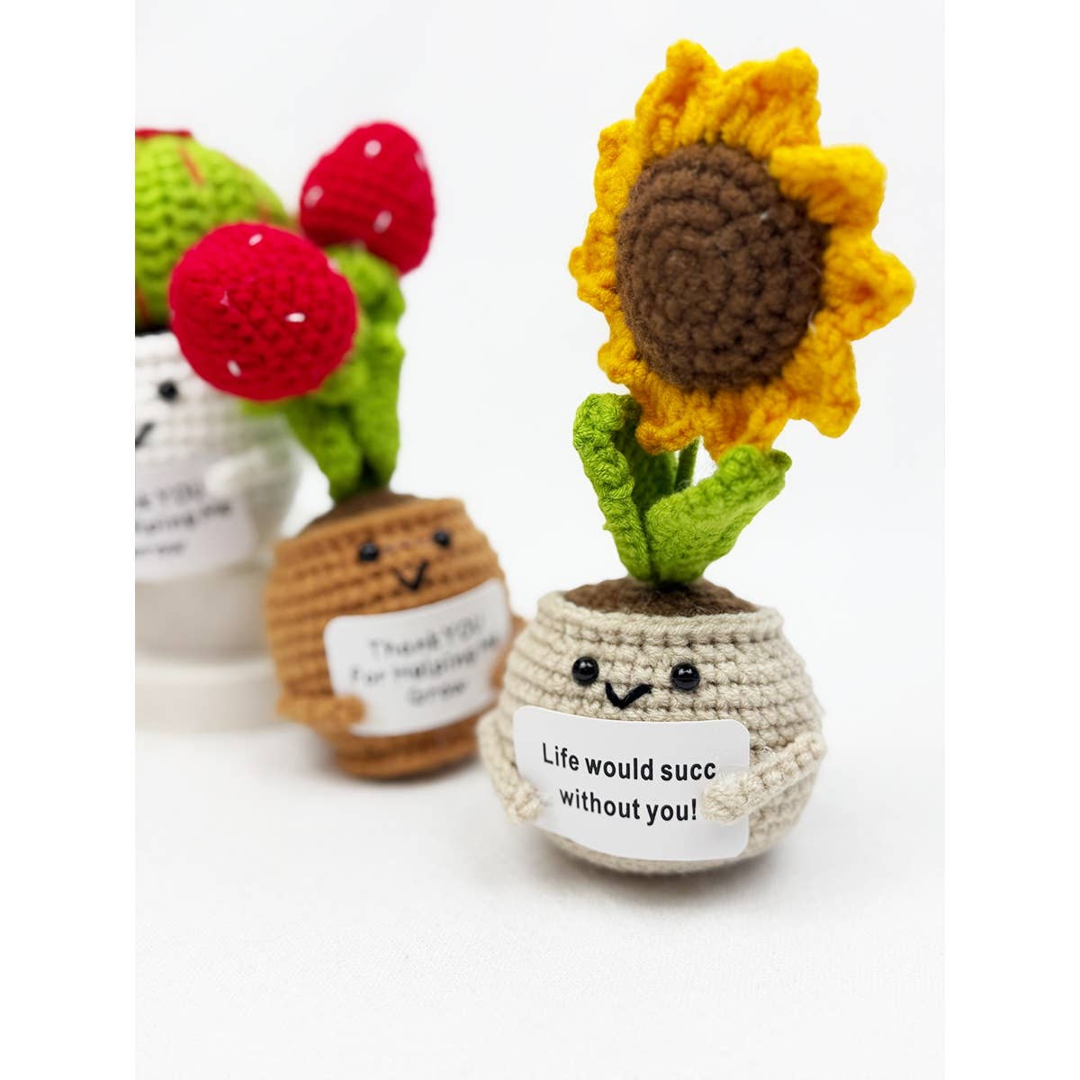 Positive Crochet Potted Succulent KeyChain