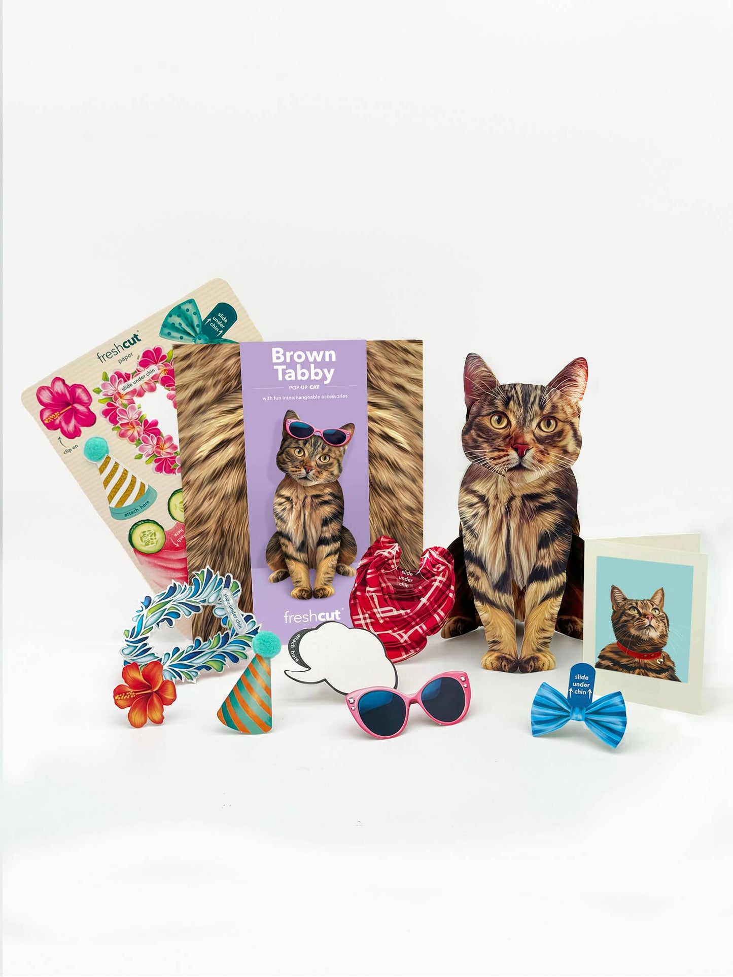Brown Tabby Pop-up Greeting Card