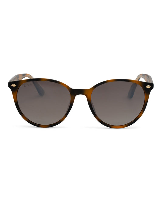Asher Sunglasses