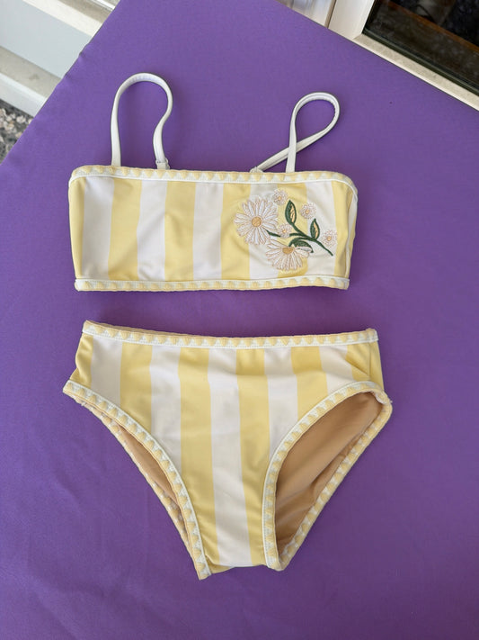 Embroidered Butter Stripe Bikini