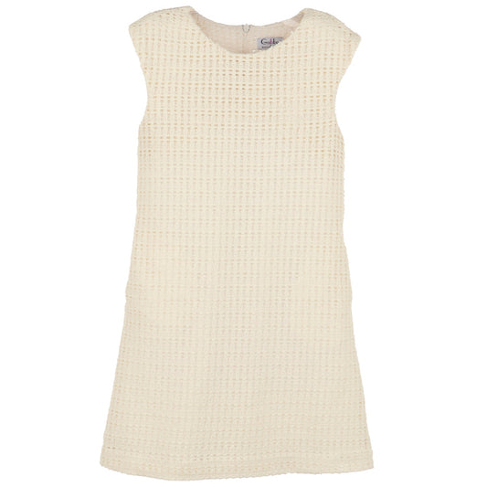 Nataly Knit Shift Dress