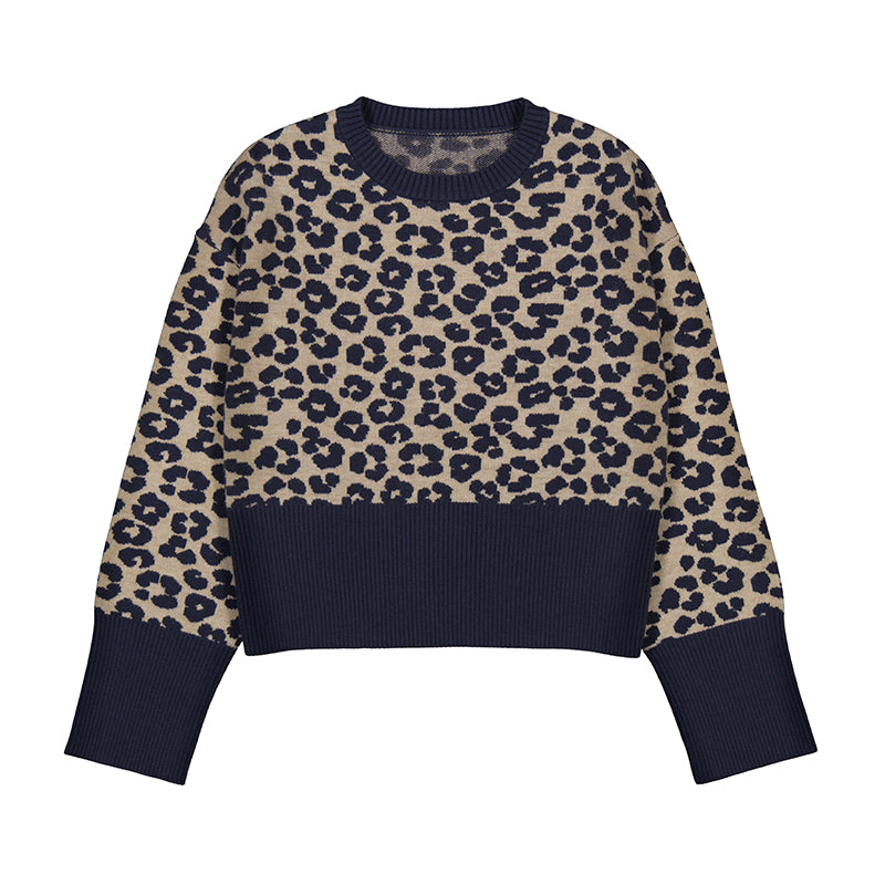 Cheetah Print Sweater