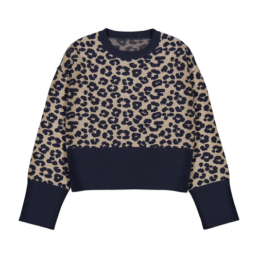 Cheetah Print Sweater