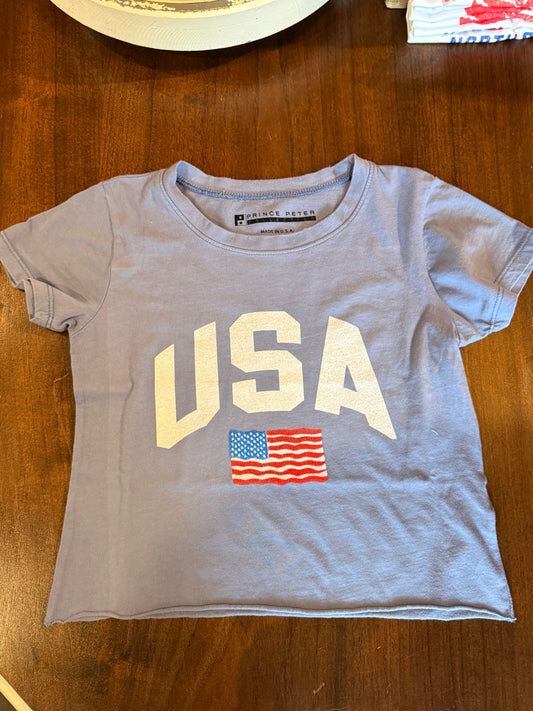 USA Flag Blue Tee