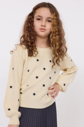 Star Embroidered Sweater