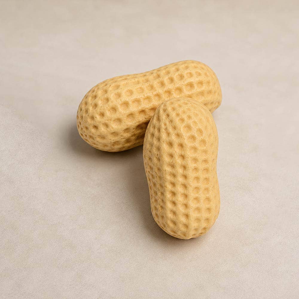 Peanut Shaped Squishy