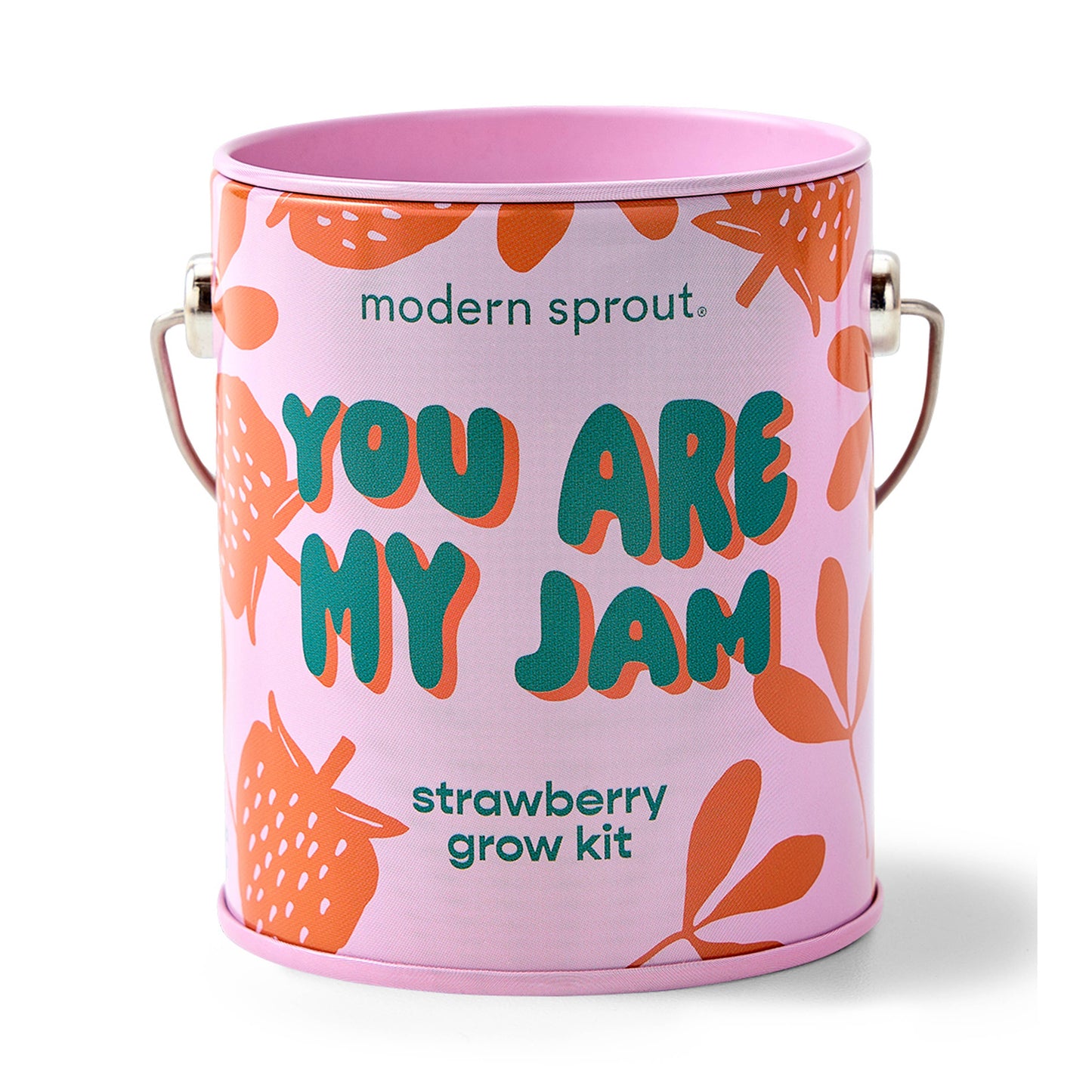 Color Grow Kit