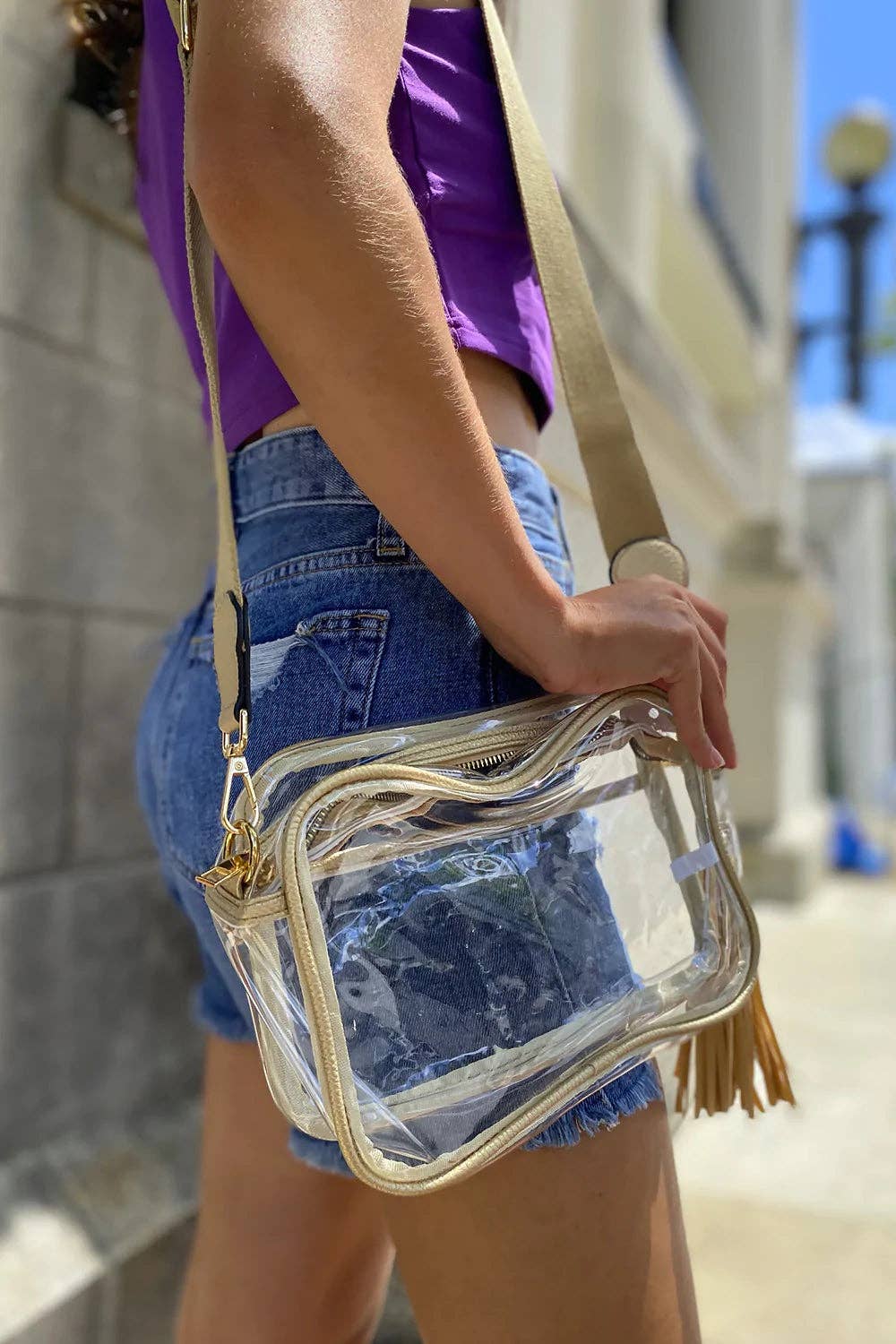 Clear Crossbody Bag