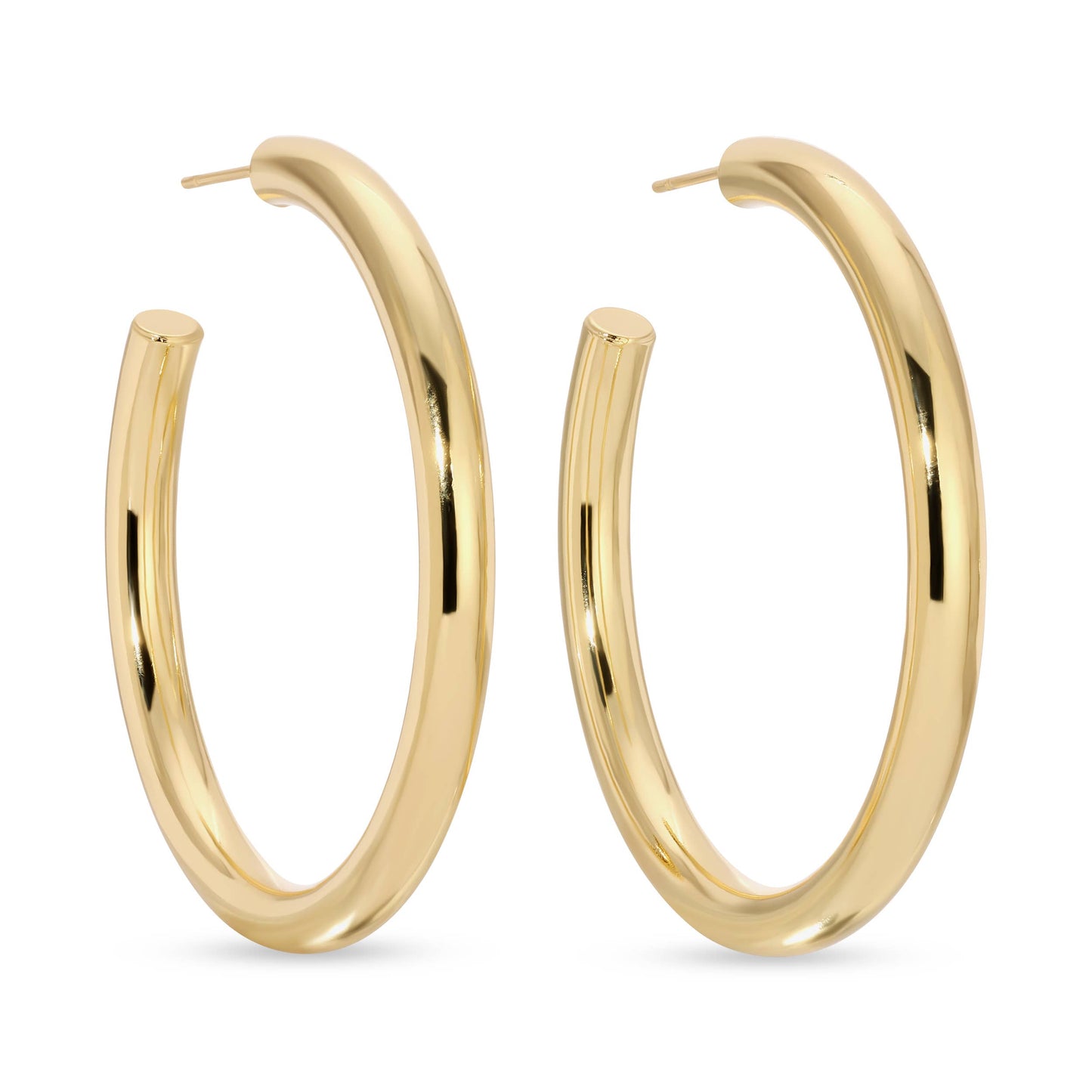 The Perfect Hoop Earrings