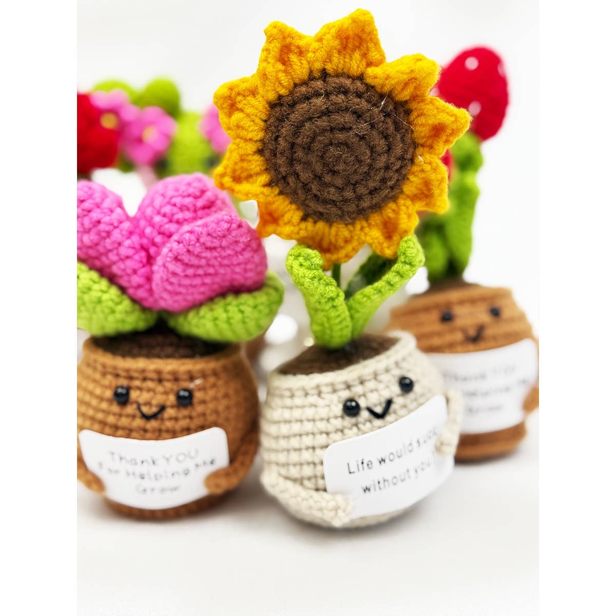 Positive Crochet Potted Succulent KeyChain
