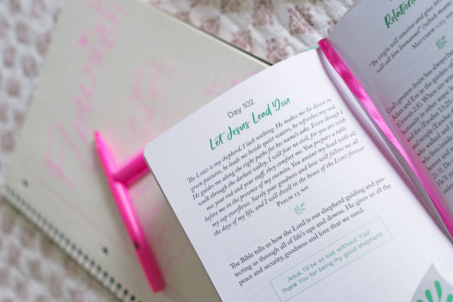 Flourish: Daily Devotions for Teen Girls