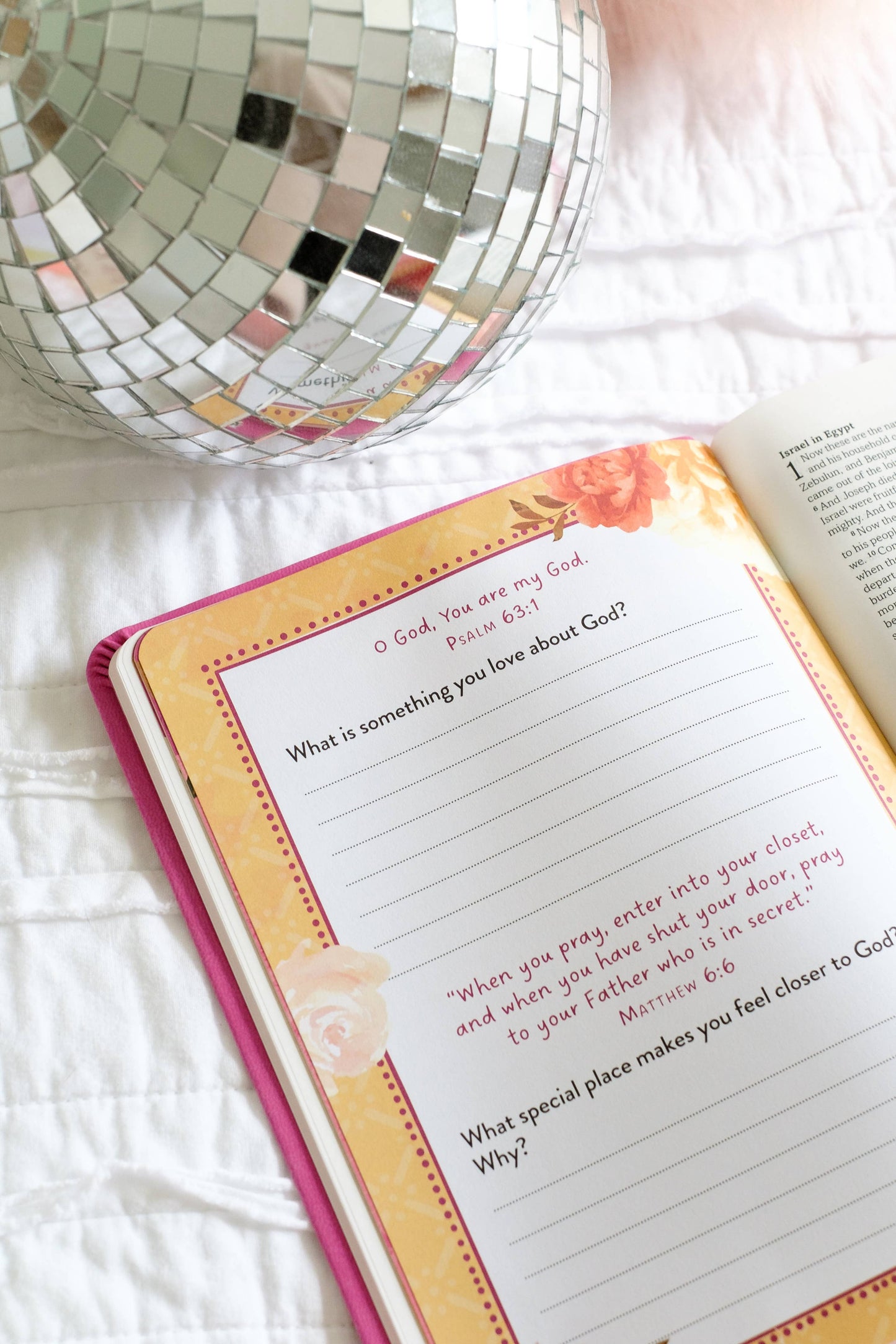 My Bible SKJV for Girls
