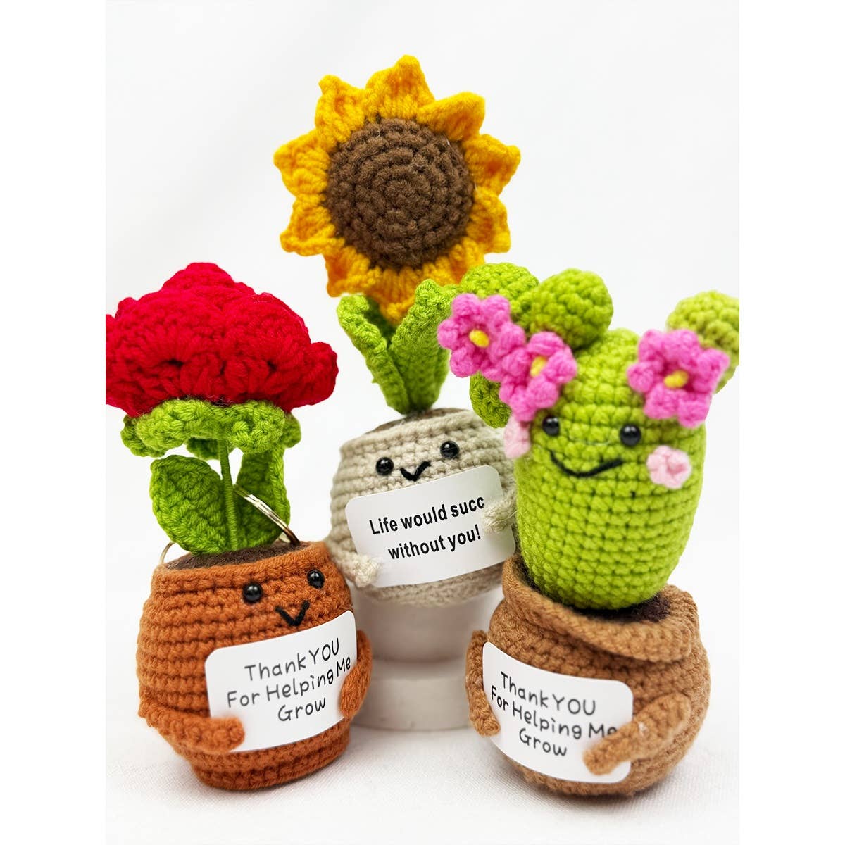 Positive Crochet Potted Succulent KeyChain