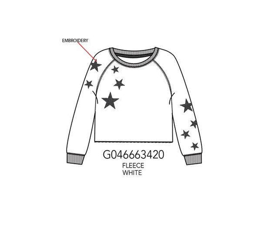 Embroidery stars tween holiday crop sweatshirt