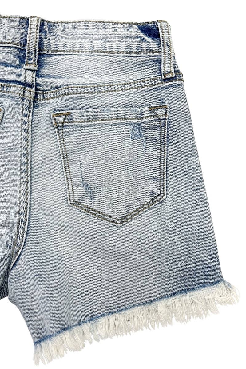 Lt Wash Dest Shorts