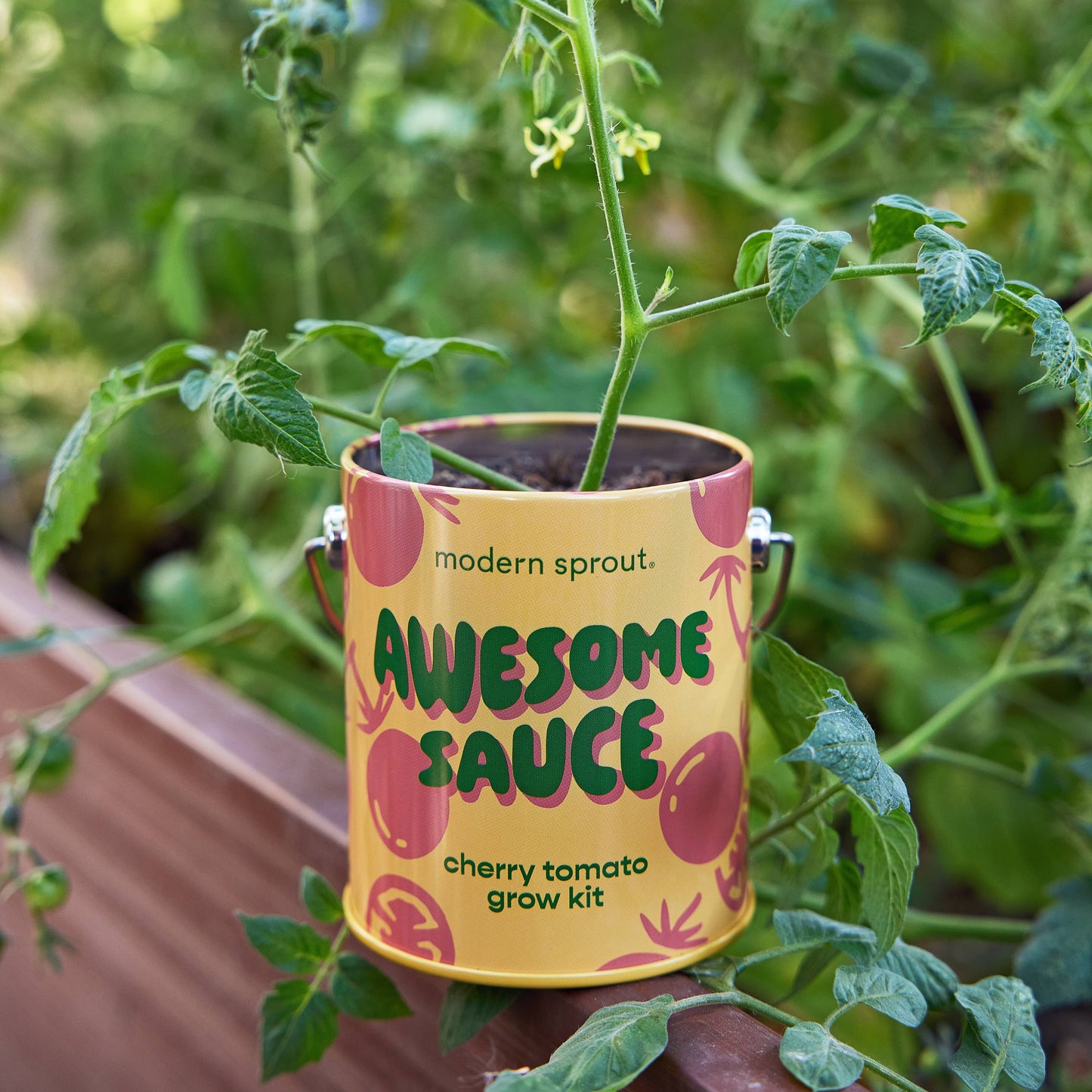 Color Grow Kit