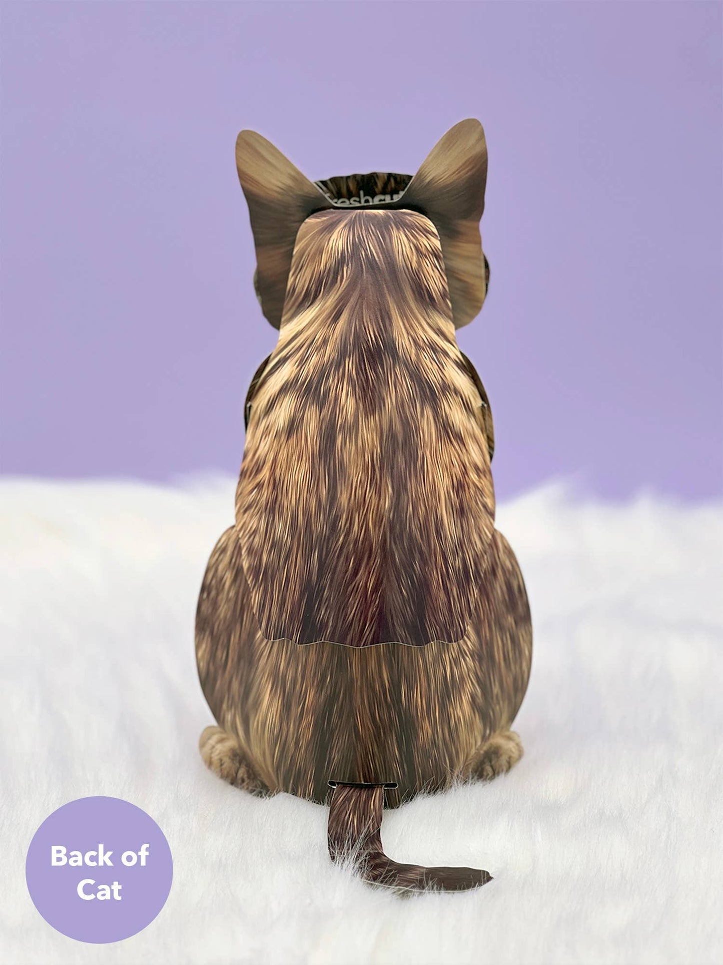 Brown Tabby Pop-up Greeting Card