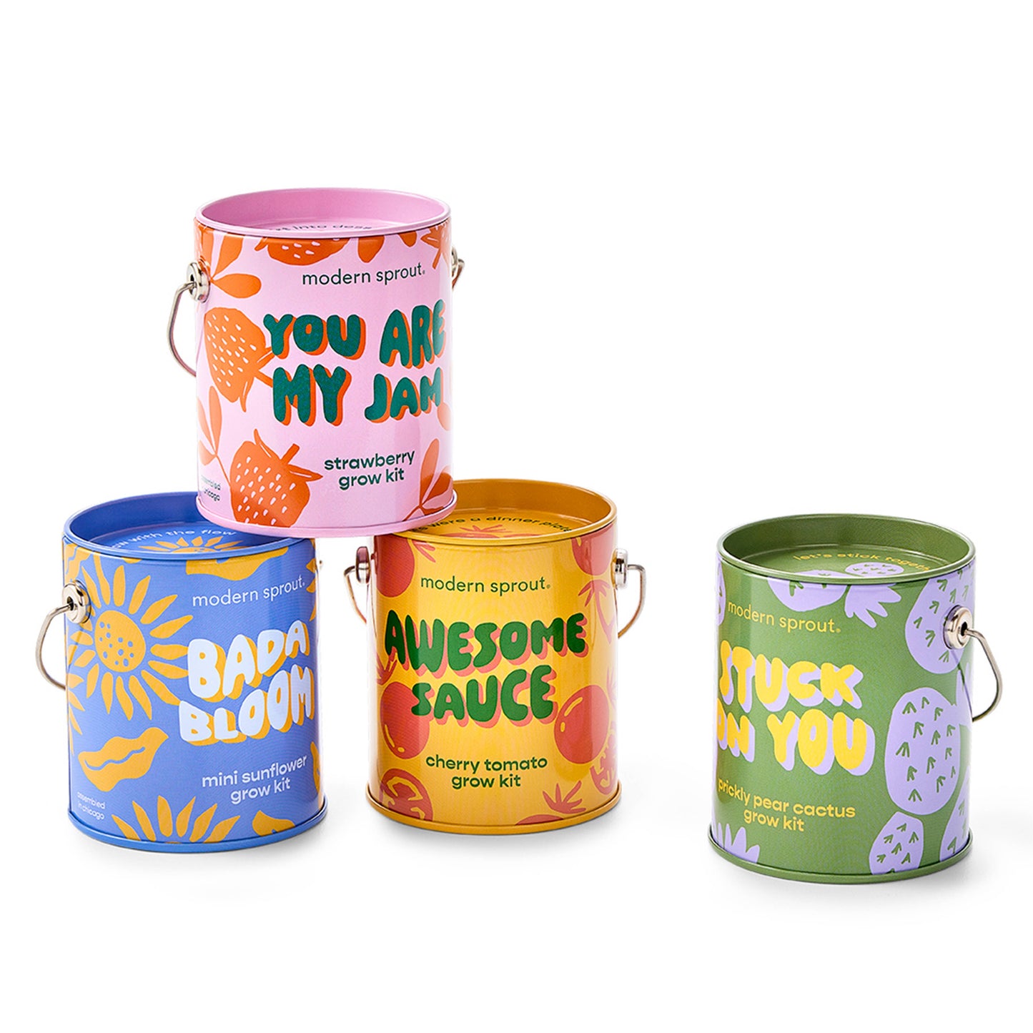 Color Grow Kit