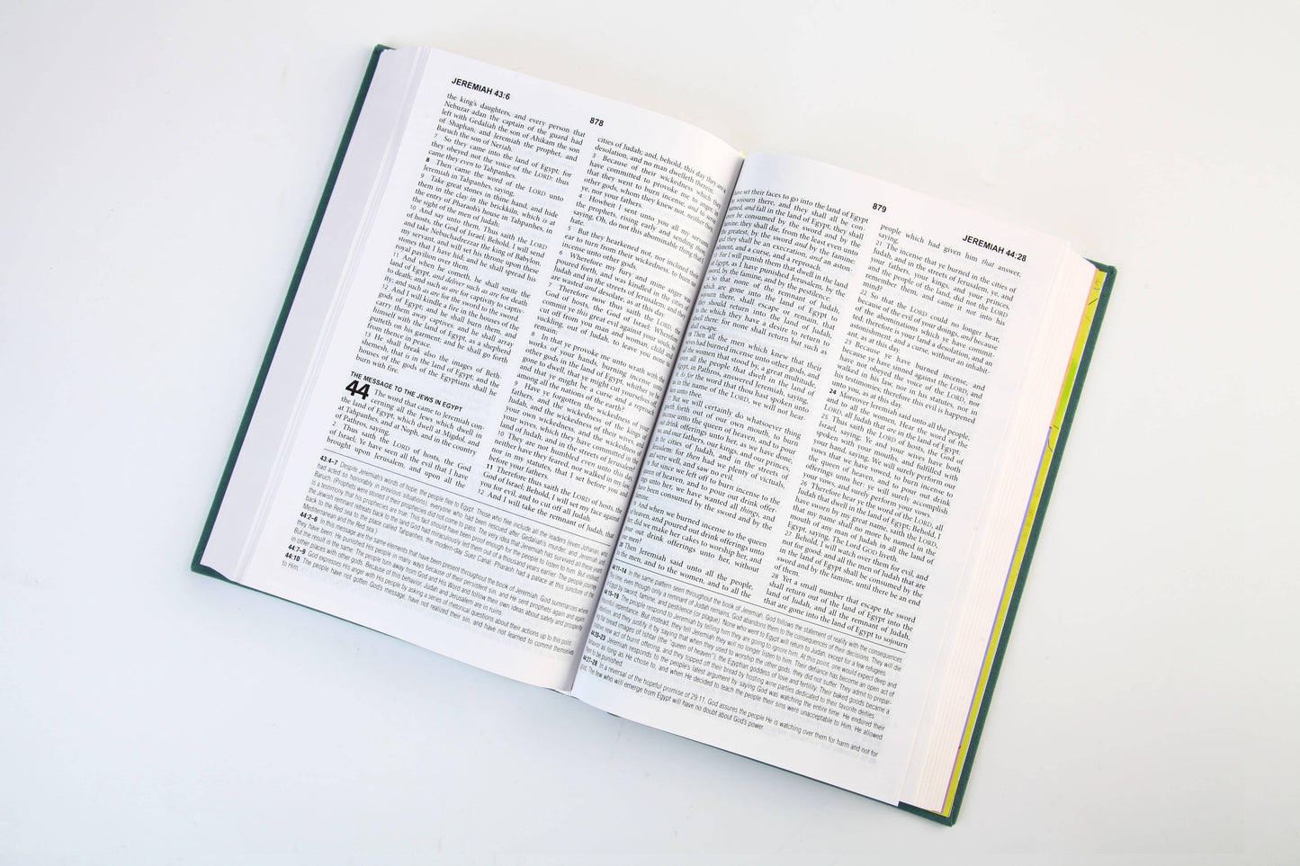 The KJV Study Bible [Sage Bouquet]