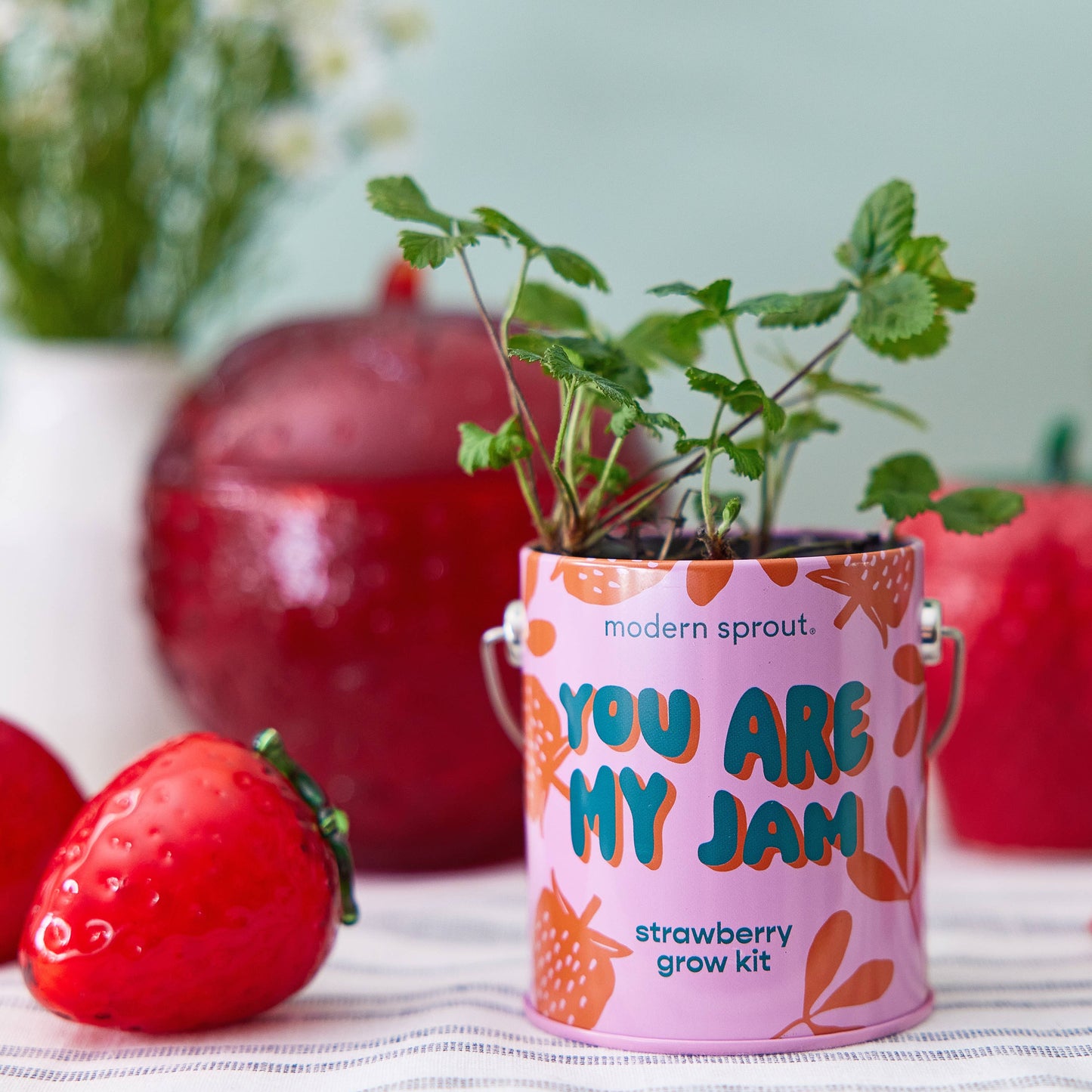 Color Grow Kit
