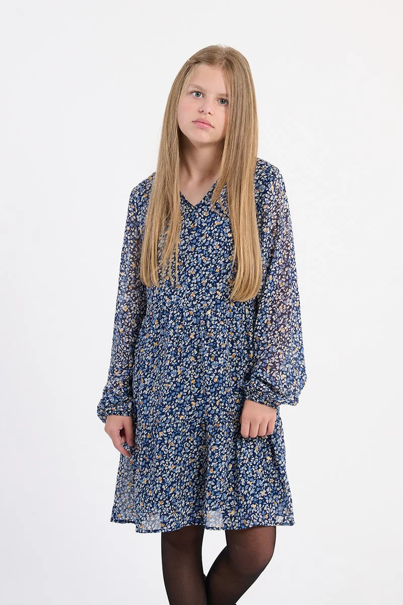 Girls Blue Floral LS Dress