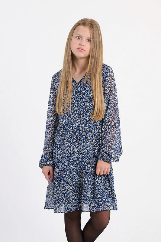 Girls Blue Floral LS Dress